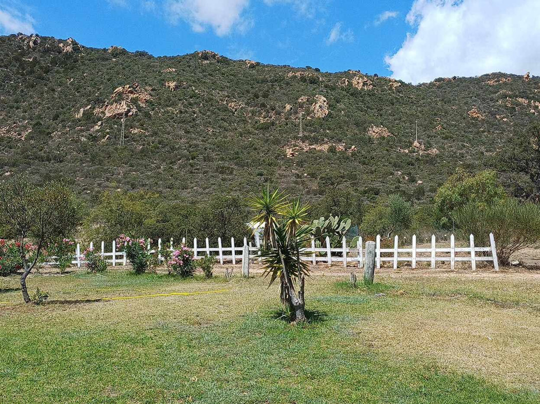 Hotel Il Falconiere主图