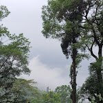 Singell Homestay主图