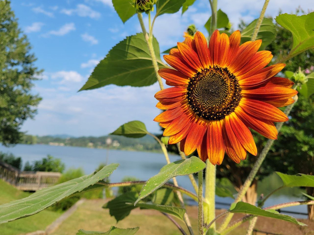 Lake Junaluska Conference and Retreat Center主图