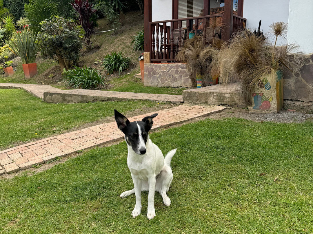 Casa Hotel San Pedro主图