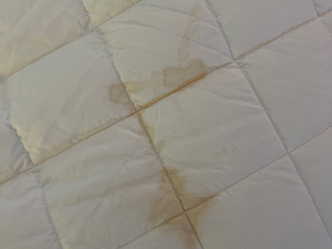 Quality Inn South Boston - Danville East主图