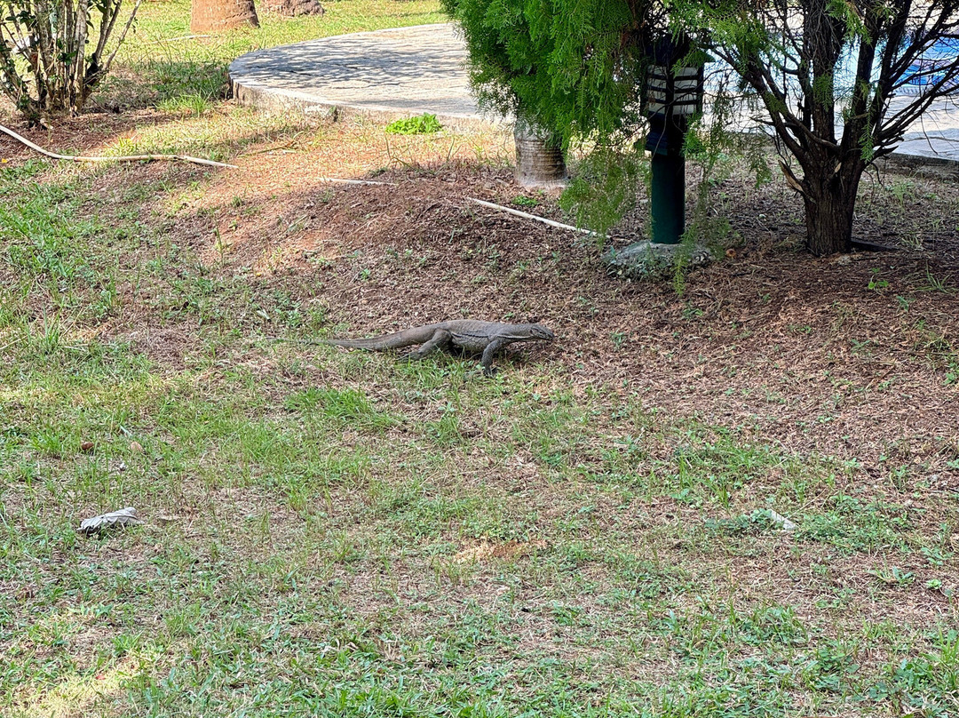 椰子花园餐厅酒店主图
