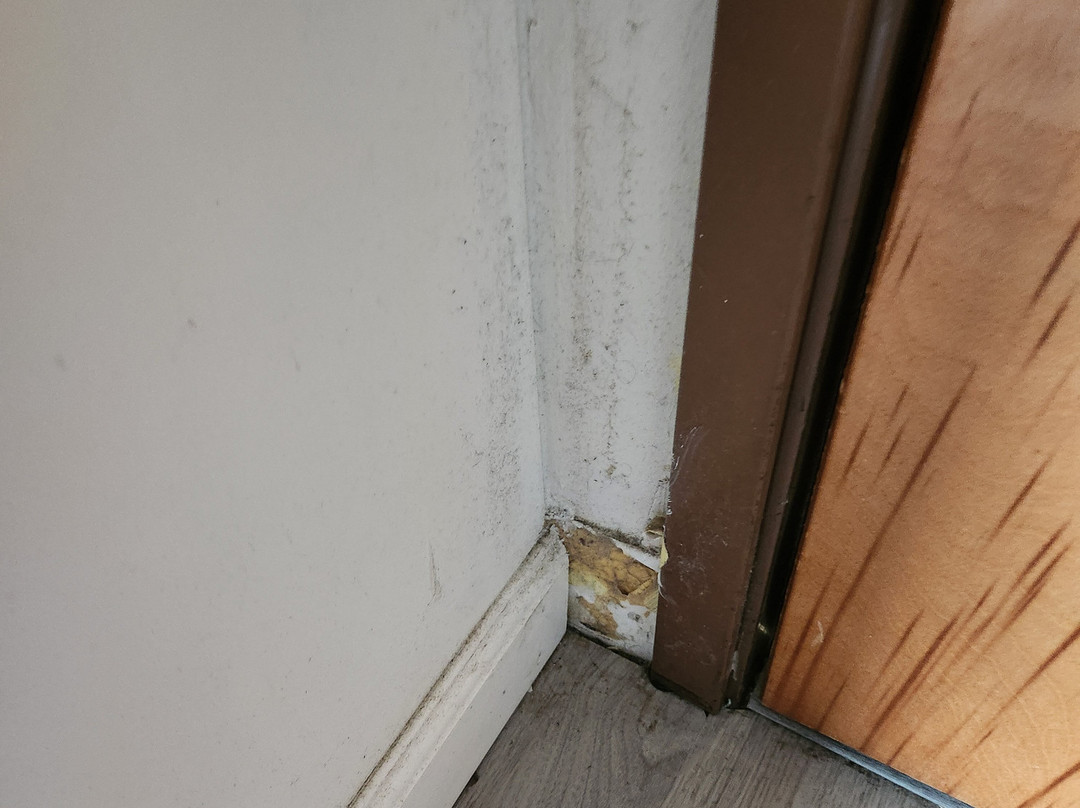 Econo Lodge Harrisburg主图