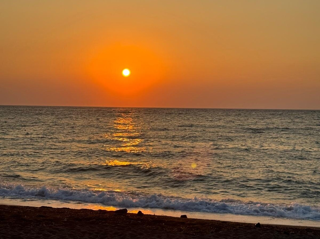 Plaza Palace Hotel主图