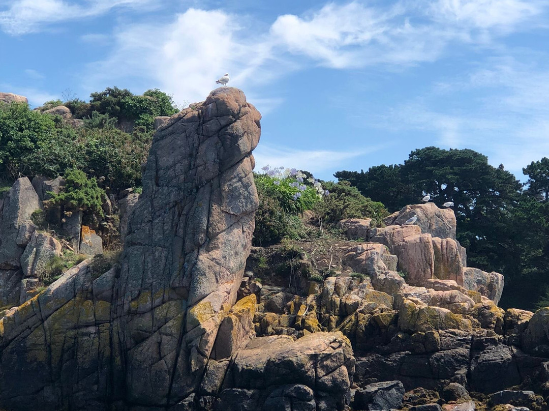 Embarquez Sur Eulalie-Ile-de-Brehat必去景点