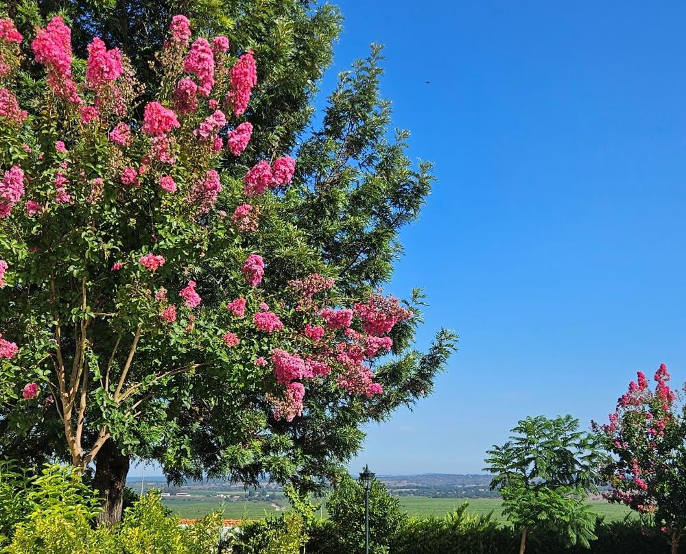 Liláses Boutique House & Garden主图