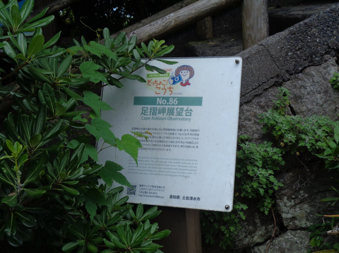 Cape Ashizuri-土佐清水市必去景点
