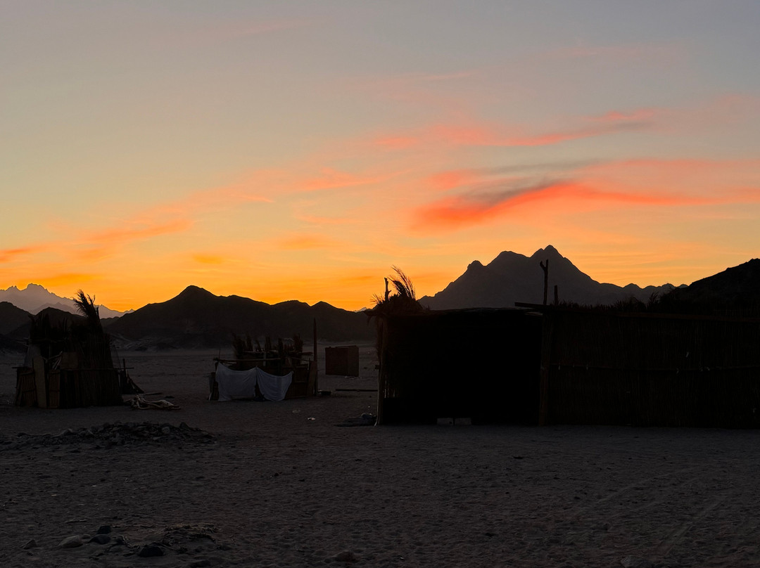 Safari Red Sea Makadi Bay-马卡迪湾必去景点