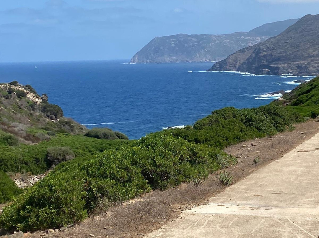 Mare & Natura - Tour Parco dell'Asinara-斯廷蒂诺必去景点