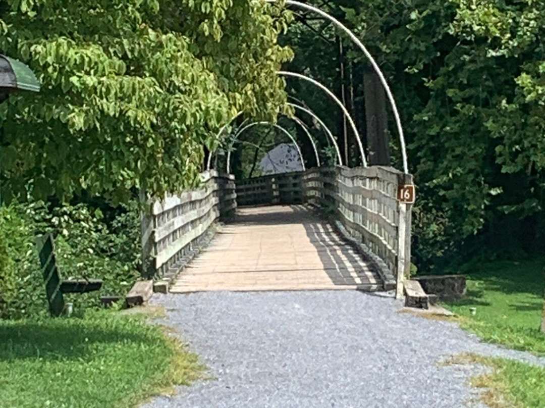 The Bike Station-Damascus必去景点