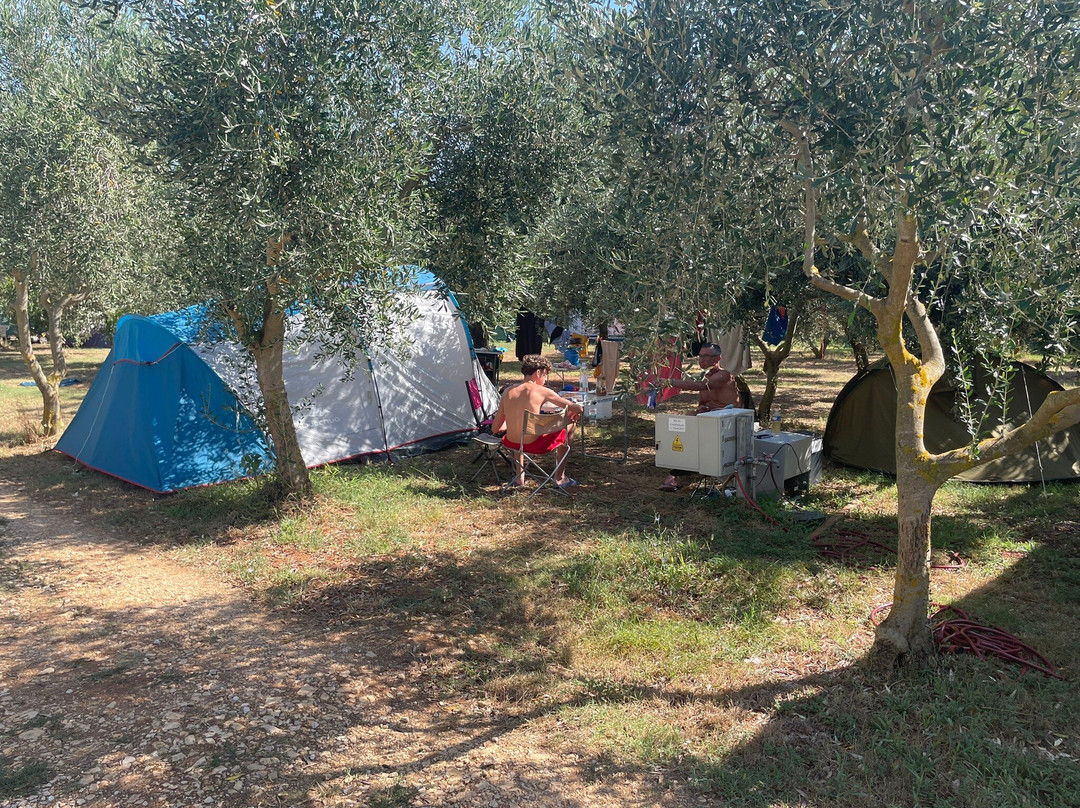 Camping Volme