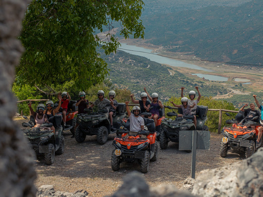 WIldCrete Safari