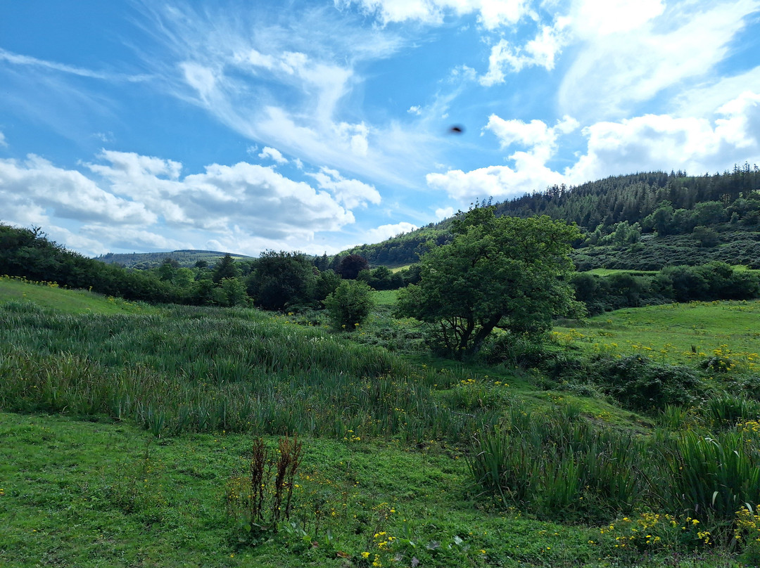 Ballyhoura Horse Trekking-Kilfinane必去景点