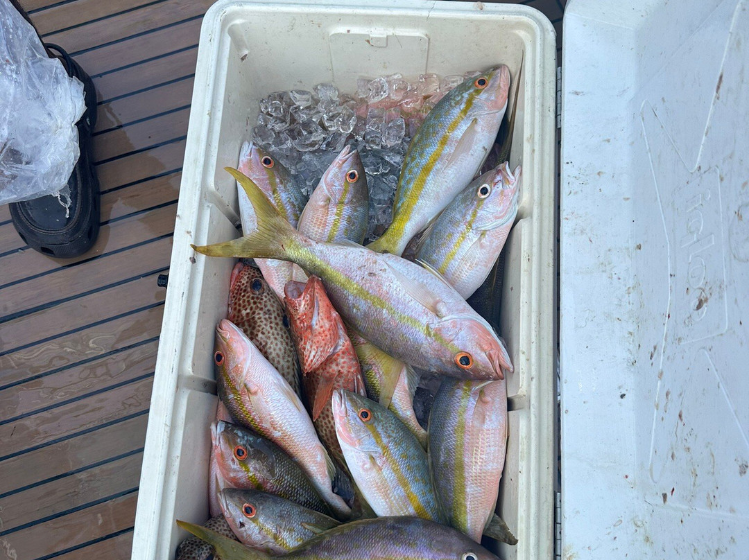 Fish Rowe Charters-大埃克苏马必去景点