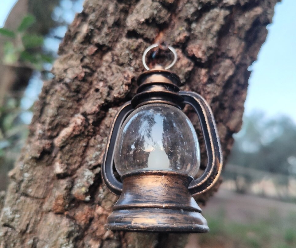 Glamping IL Sole景点图片