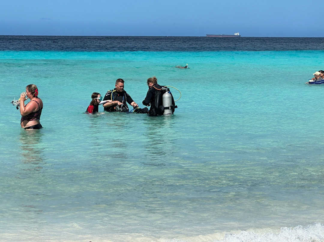 Dushi Diving-威廉斯塔德必去景点