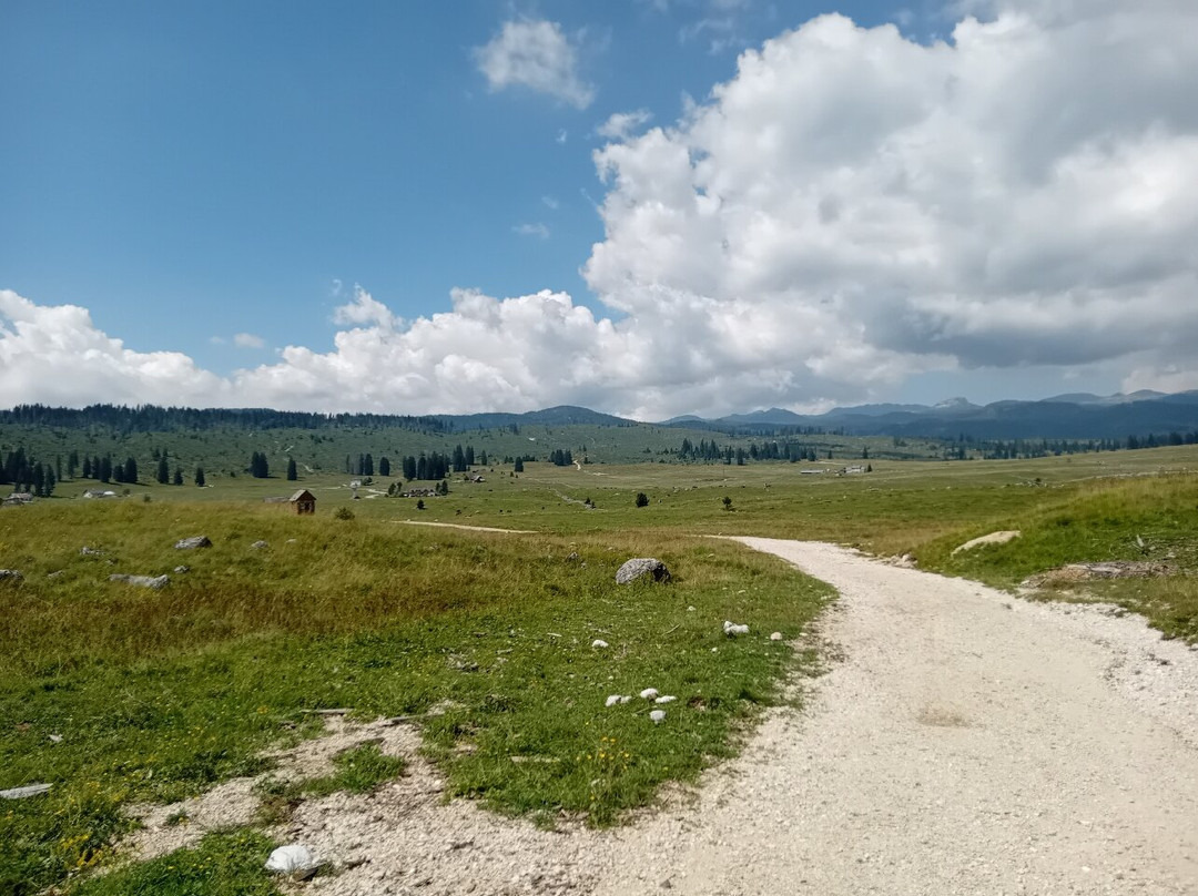 Piana di Marcesina景点图片