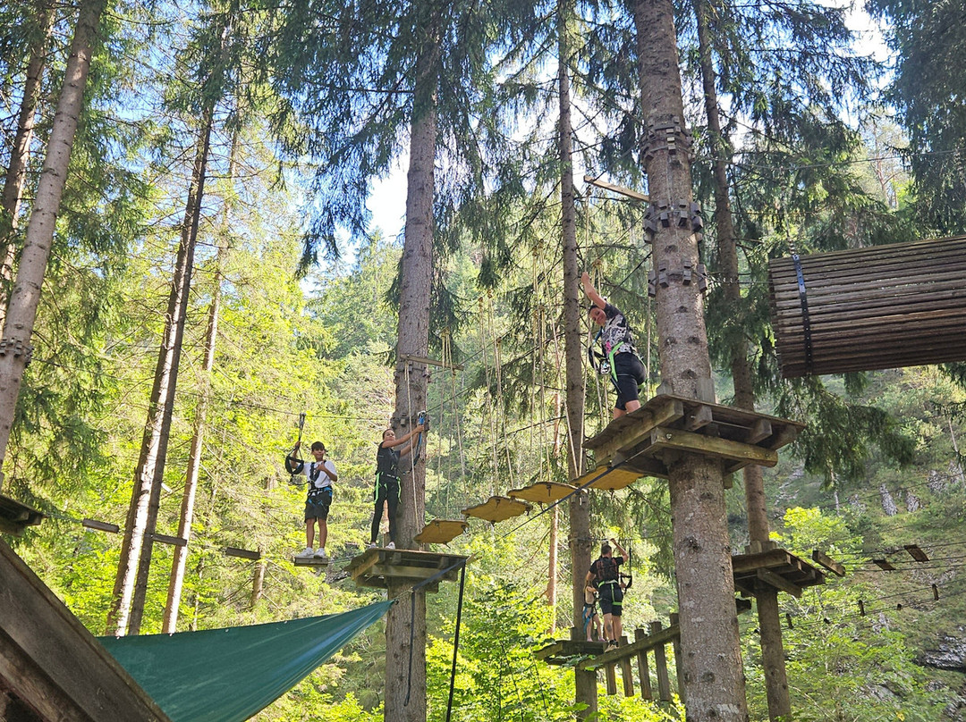 Adventurpark Achensee景点图片