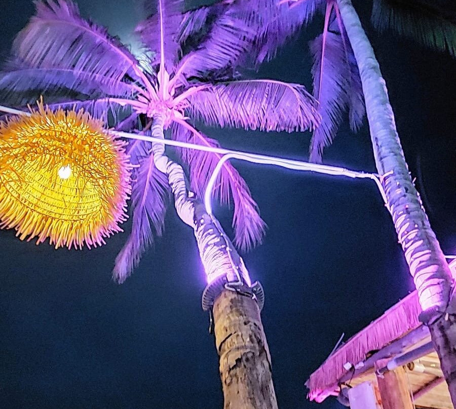 Elephant Beach Club-波普特必去景点