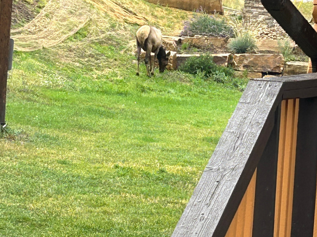 Murphy's River Lodge主图