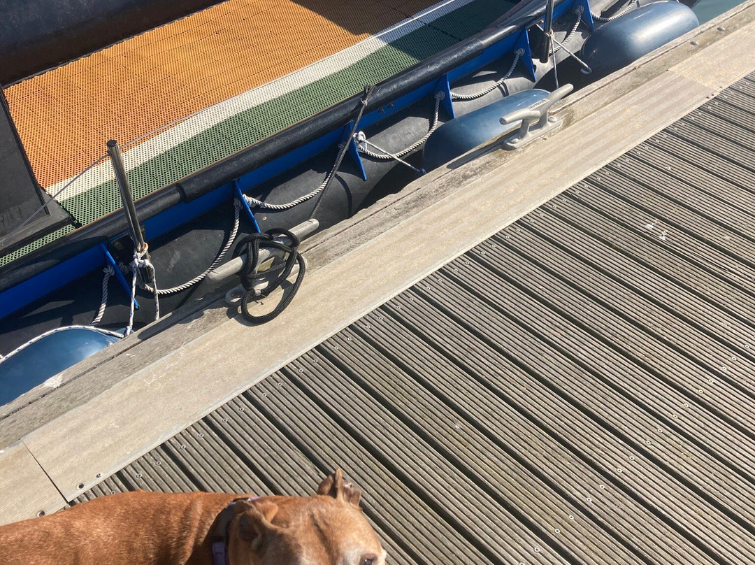 Burnham Ferry景点图片