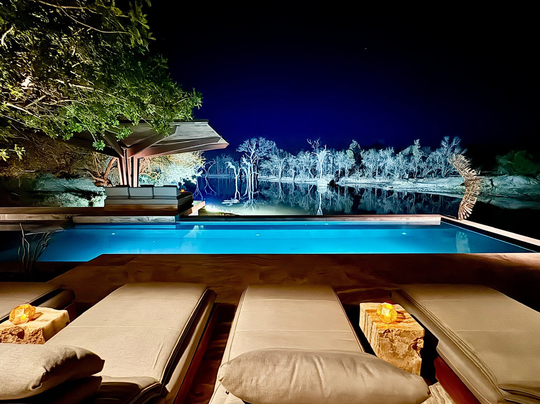 Cheetah Plains主图