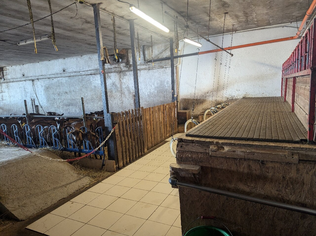 La Ferme des Cabrioles景点图片