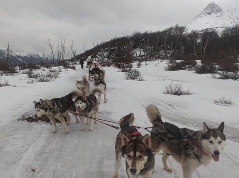 Latitud Ushuaia Travel-乌斯怀亚必去景点
