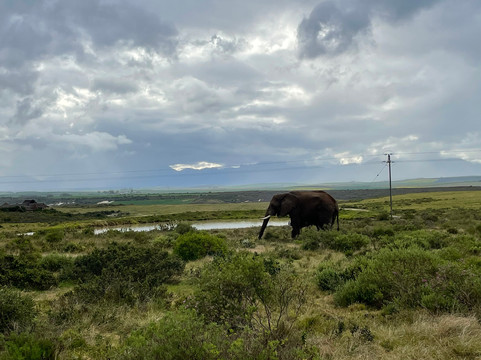 BokBus Garden Route Adventure Tours - Day Tours-木湾必去景点