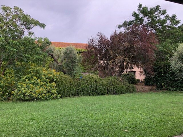 Agriturismo il Gaggiolo主图