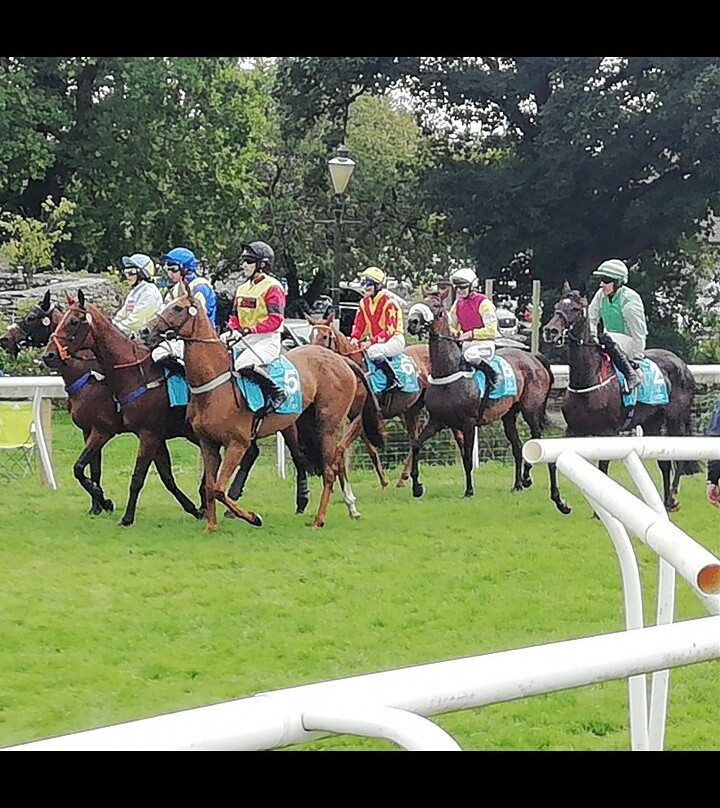 Cartmel Racecourse景点图片