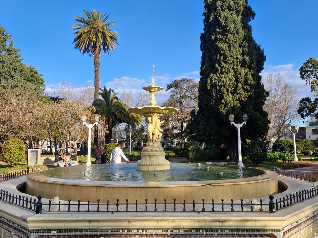 Museos & Cripta Basilica Nuestra Senora De Lujan景点图片