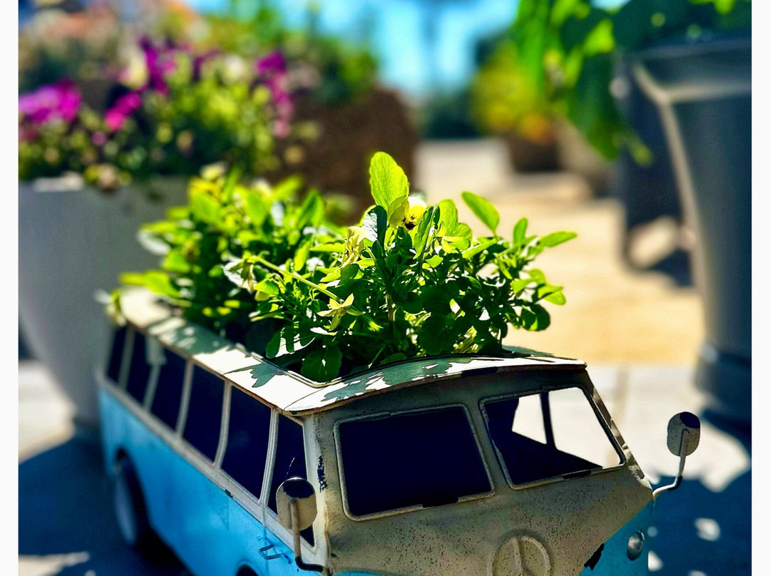 Dalby Parkview Motel主图