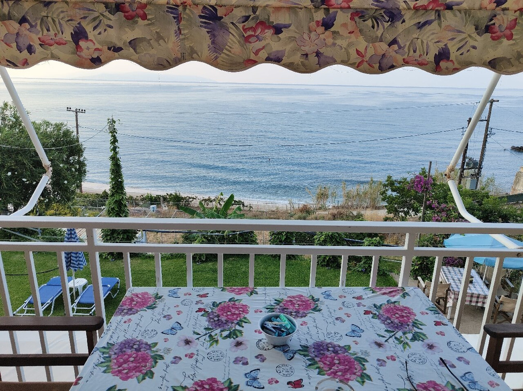Rosa's Beach Studios