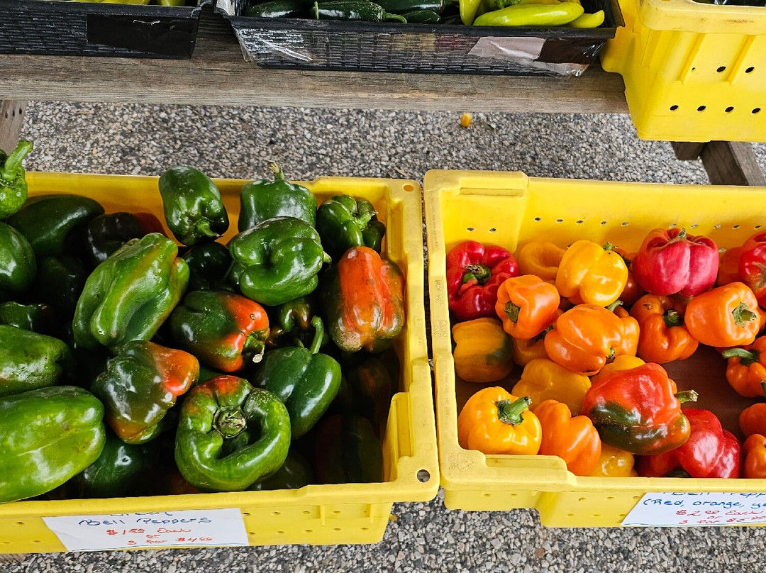 Brad's Produce-Churchville必去景点