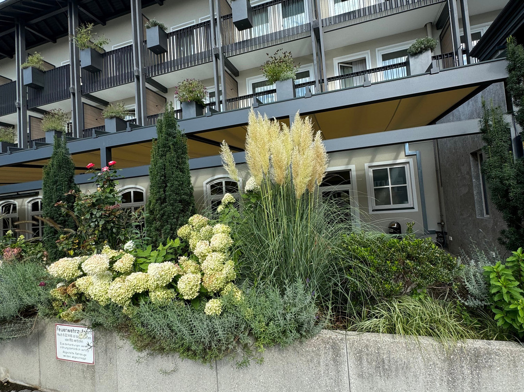 鲍尔酒店&旅馆主图