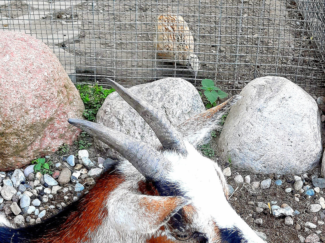 StrandResort Markgrafenheide主图