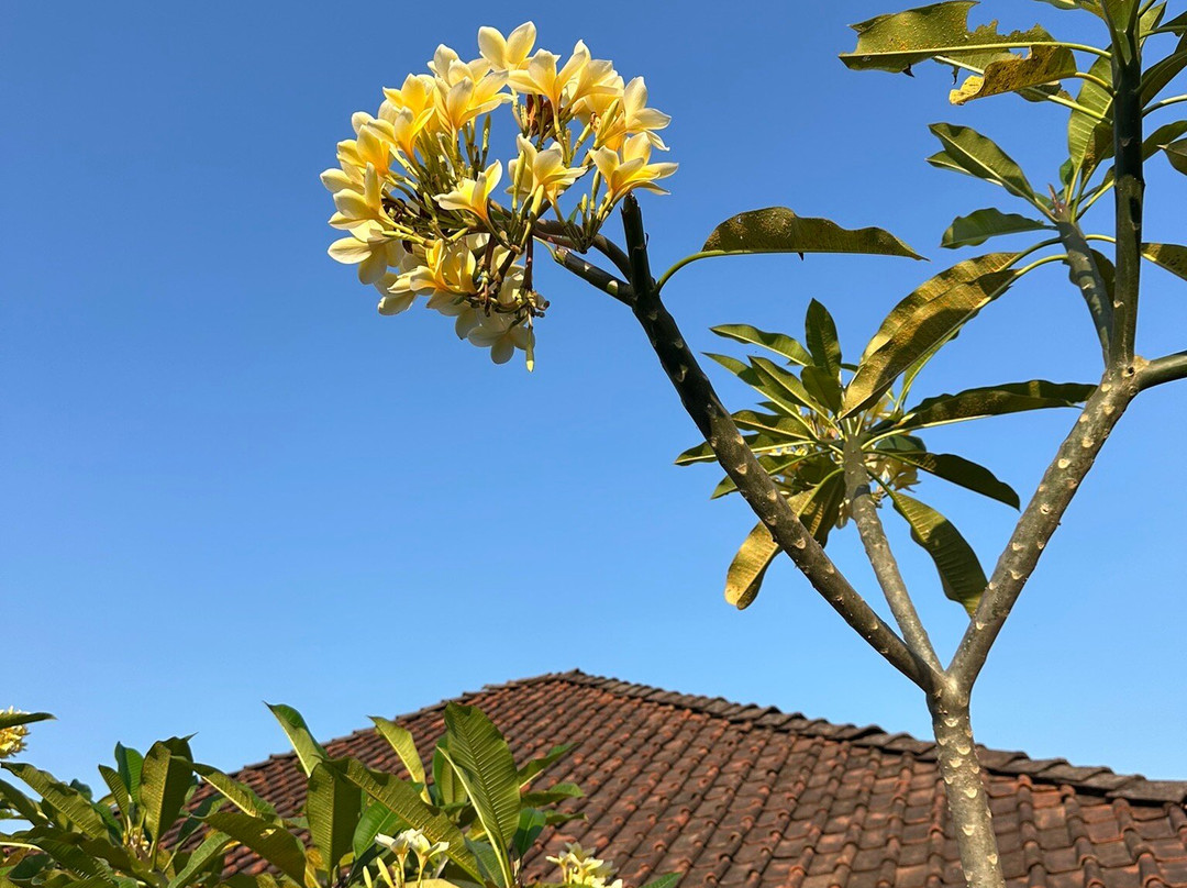 Shankara Borobudur主图