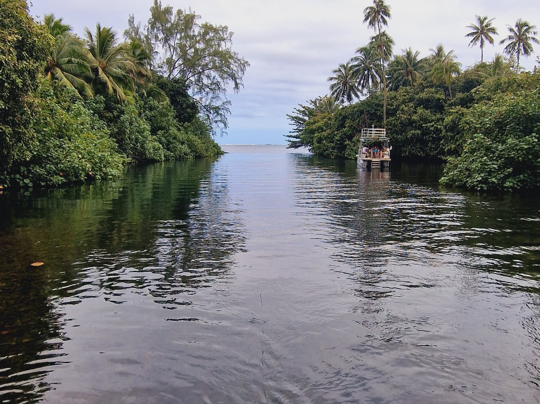 Tahiti Boat Excursion & Surf景点图片