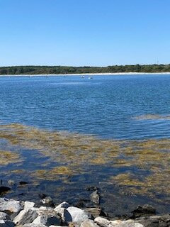 Kettle Cove State Park-开普伊丽莎白必去景点