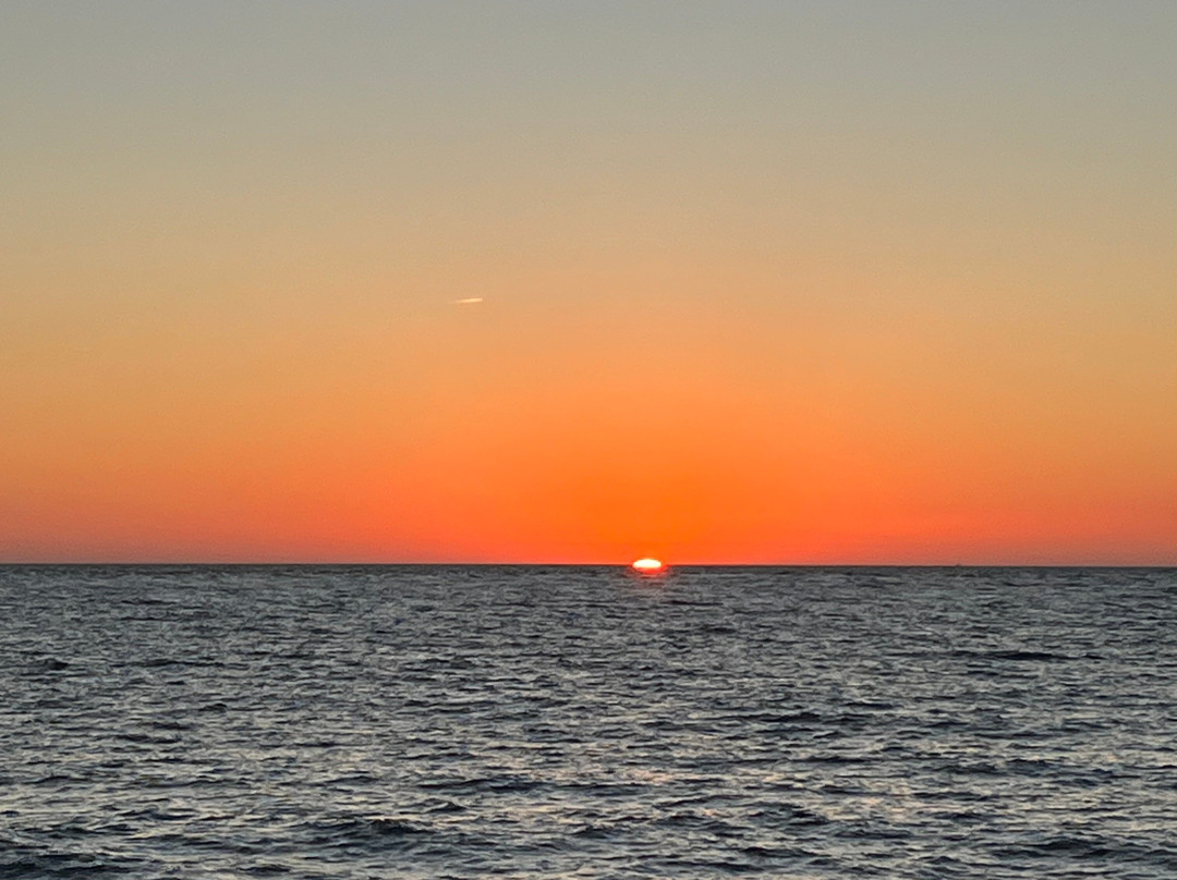 Albarco Com Calidad Nautica-加的斯市必去景点