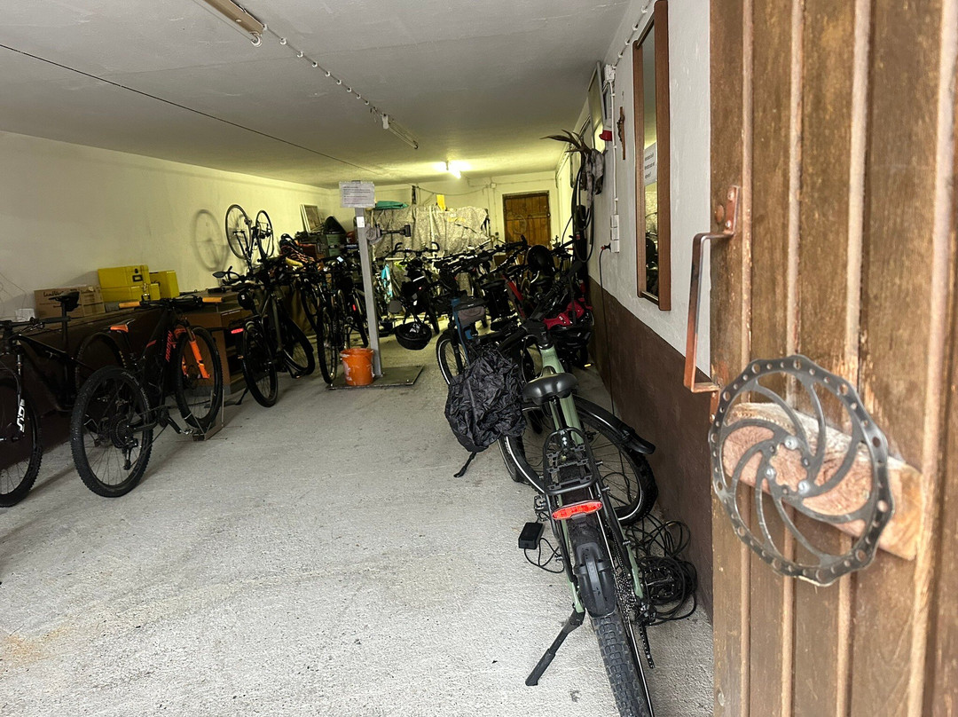 Alpenhof Pension-Garni主图