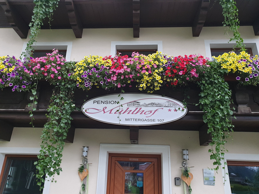 Naturpension Mühlhof主图