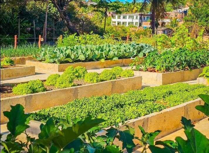 Coqueiral Park - Lazer Em Família-Olinda必去景点