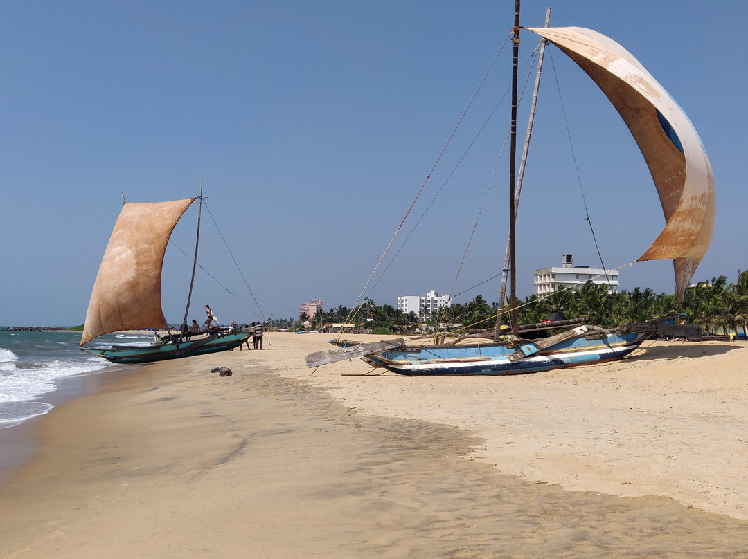 Feel Sri Lanka Tours景点图片