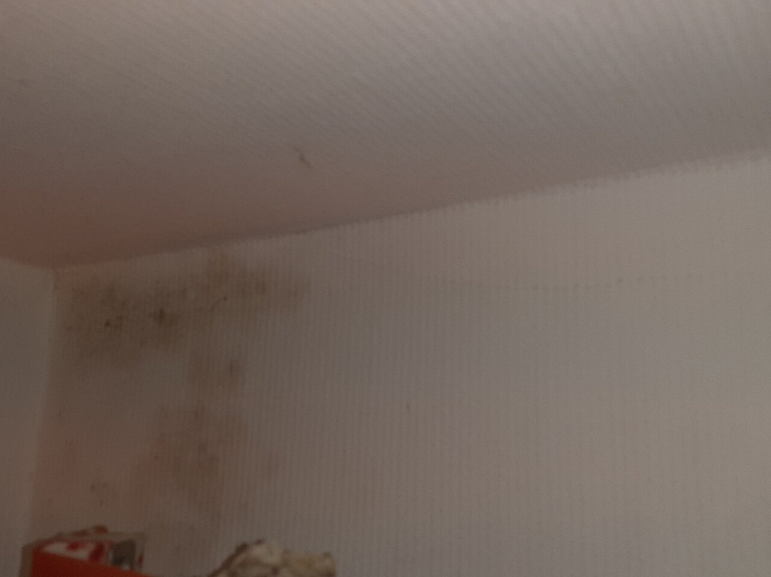 Inselklause Schwarzwald主图