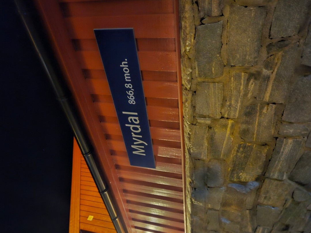 Myrdal Station-米达尔必去景点