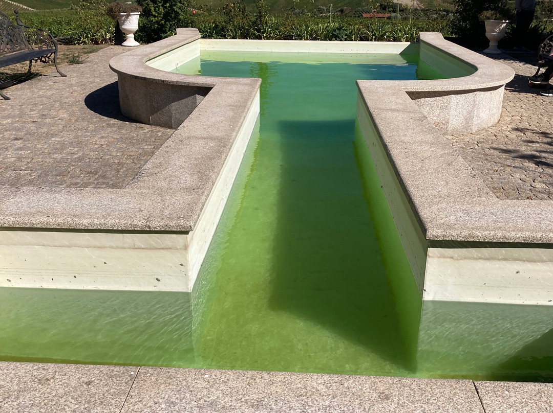 Quinta de Avessada景点图片