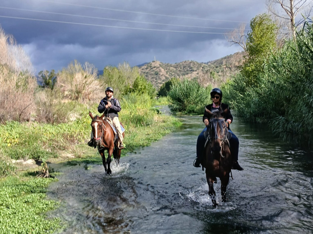 Sunshine Adventure Horses Power景点图片