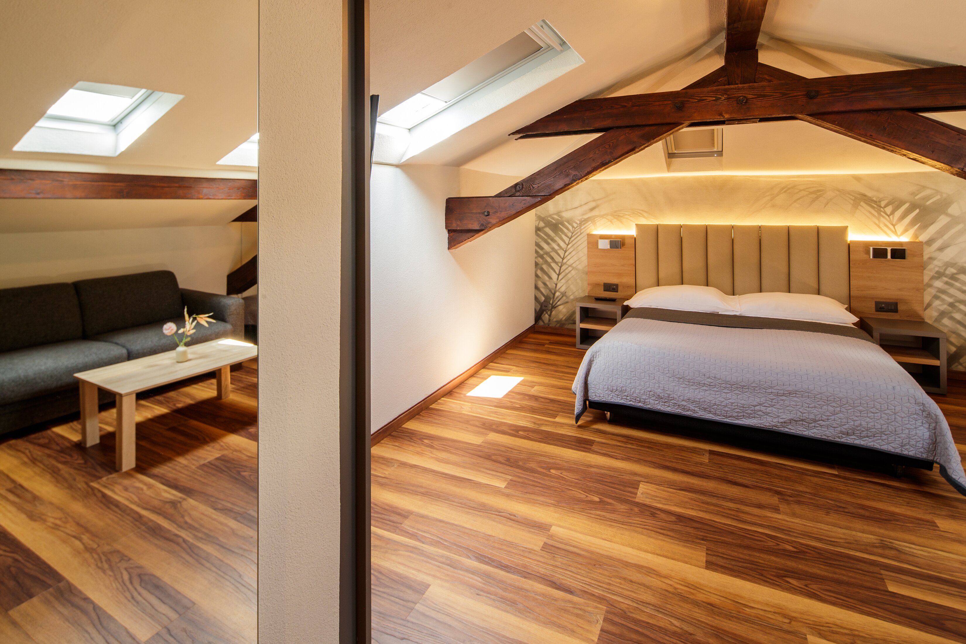 Albergo Mirador Ascona-客卧